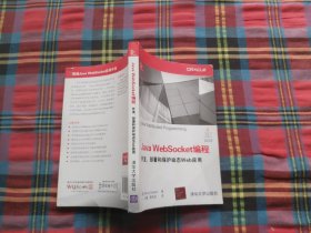 Java WebSocket编程 开发、部署和保护动态Web应用