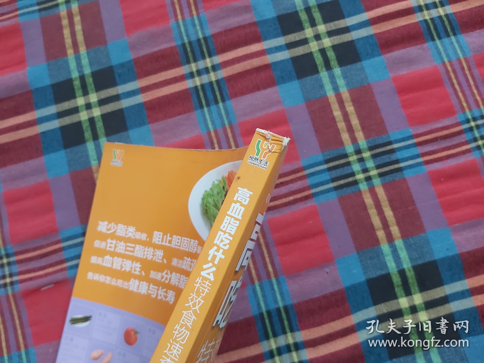 吃出健康食物速查系列：高血脂吃什么特效食物速查