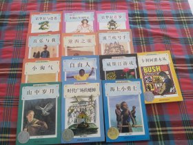 威斯汀游戏：纽伯瑞儿童文学奖丛书·探险、奇遇系列