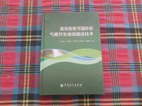 复杂致密河道砂岩气藏开发精细描述技术