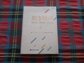 数字经济:新经济 新治理 新发展