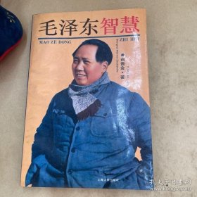 毛泽东智慧 俞吾金 / 上海人民出版社 / 1993-03 / 平装