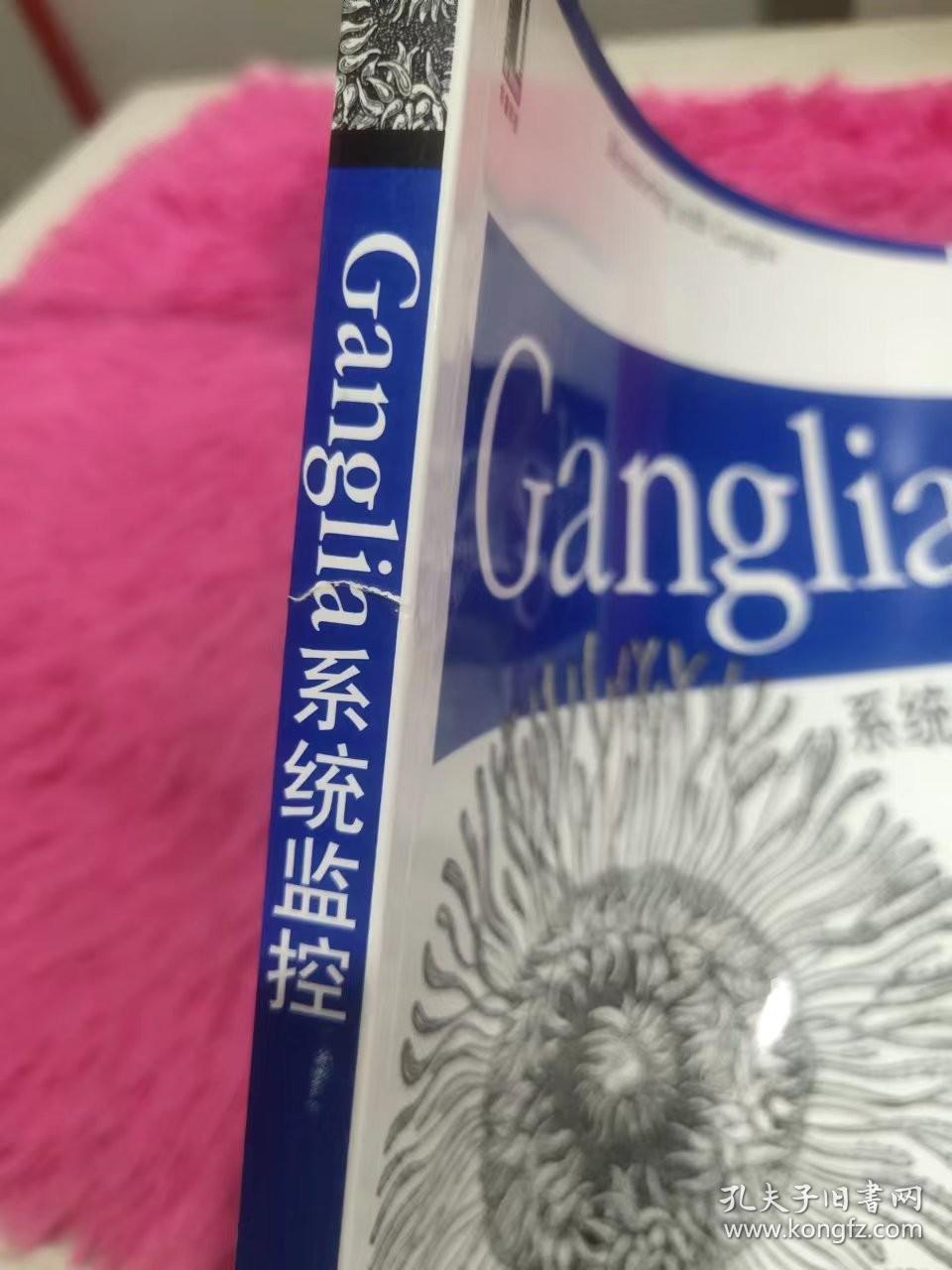 Ganglia系统监控