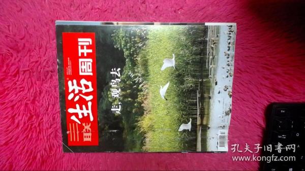 三联生活周刊2019年第47期