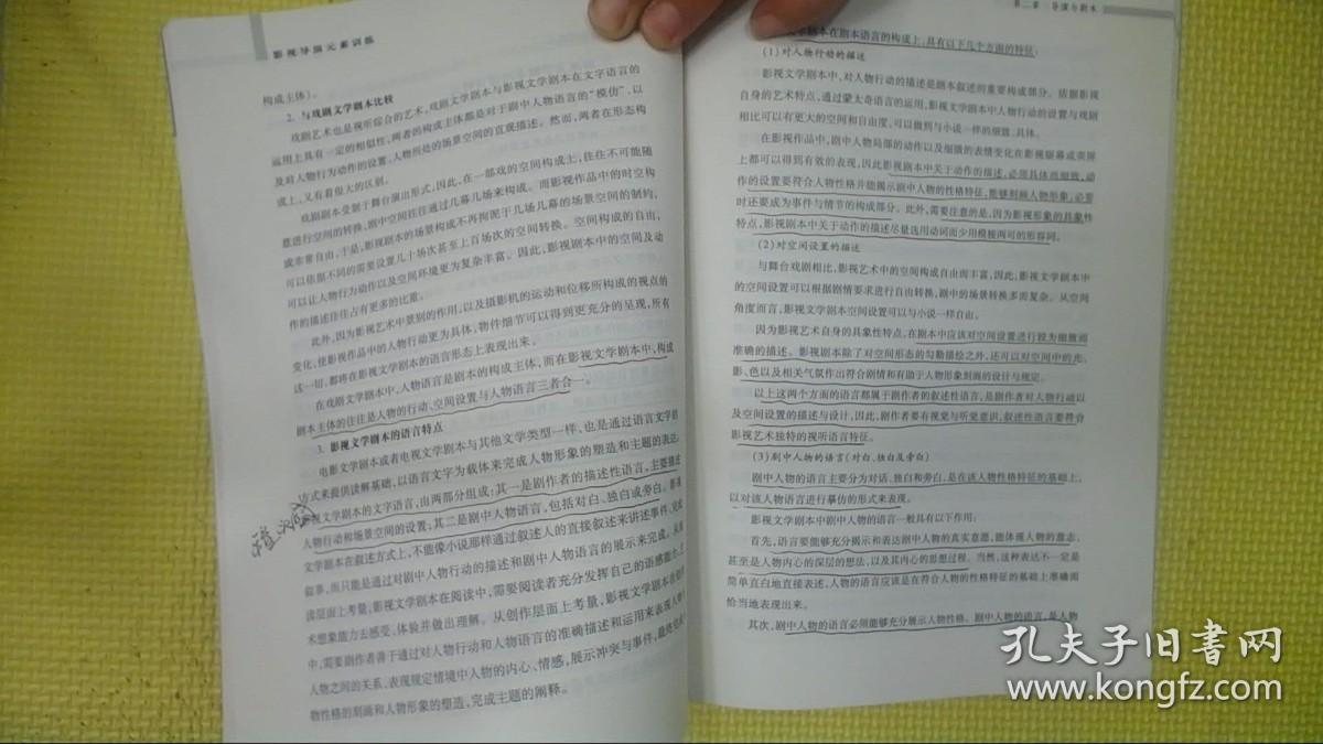 中央戏剧学院教材丛书：影视导演元素训练