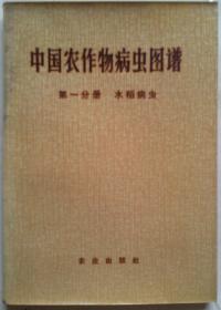 中国农作物病虫图谱 第一分册 水稻病虫[彩图]