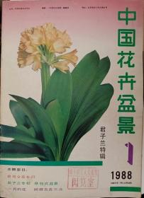 中国花卉盆景：君子兰特辑[1988年第一期]