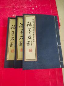 翰墨石影:河南省文史研究馆馆藏搨片精选（卷二、三、四）