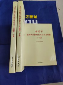 习近平新时代中国特色社会主义思想三十讲（2018版）