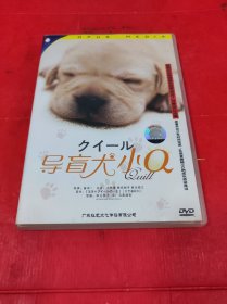 导盲犬小Q DVD