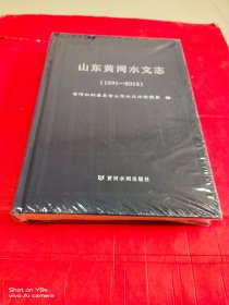 山东黄河水文志（1991—2015）