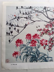 四开册页：齐白石：红梅迎春（51*36cm）折叠寄送