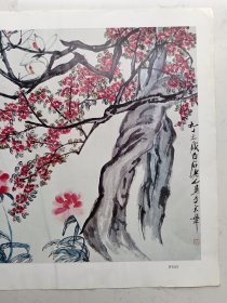 四开册页：齐白石：红梅迎春（51*36cm）折叠寄送