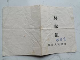 1982年滁县人民政府：林权证