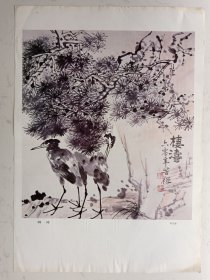 四开册页：李苦禅：栖涛（51*36cm）折叠寄送