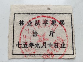 老票据：1975年安徽省五七干校林业队：苹果票拾斤