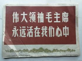 伟大领袖毛主席永远活在我们心中--人民美术出版社1976年出版（毛主席像63张合售）新闻展览照片农村普及版