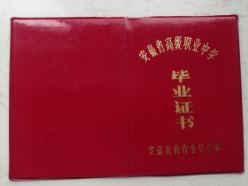 1991年安徽省高级职业中学毕业证书（过期证书仅供收藏）