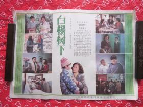 老电影海报：《白杨树下》（广西电影制片厂摄制，二开）.