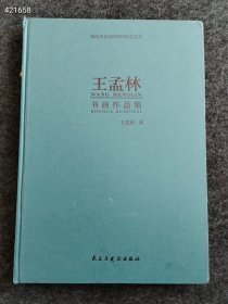 王孟林书画作品集（8开本）售价40元 六号狗院