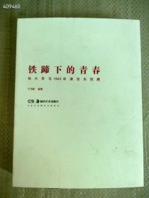 正版现货 铁蹄下的青春 杨大辛与1943年京津木刻展 厚册16开 定价240元 特价95包 狗院