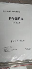 小学科学教材配套材料 科学图片库六年级上册 教育科学出版社  定价;28元