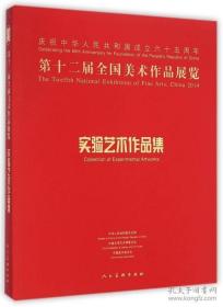 第十二届全国美术作品展览：实验艺术作品集