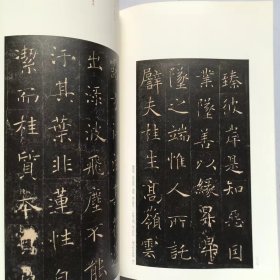 正版现货褚遂良雁塔圣教序中国碑帖名品楷书毛笔字帖东汉名家书法成人学生临摹入门练习古字帖贴碑帖上海书画出版社