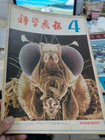 科学画报1982年4期