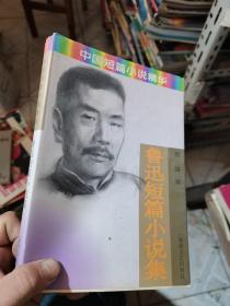 中国短篇小说精华-鲁迅短篇小说集