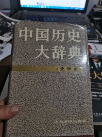 中国历史大辞典文学史