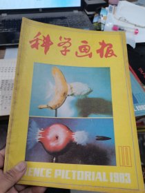 科学画报1983年10期