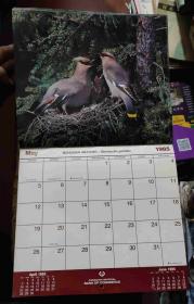1985月历 鸟类