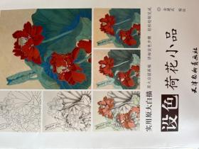 设色荷花小品