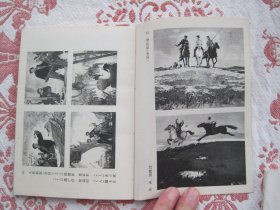 美术作品展览图录--年画（1942-1977）