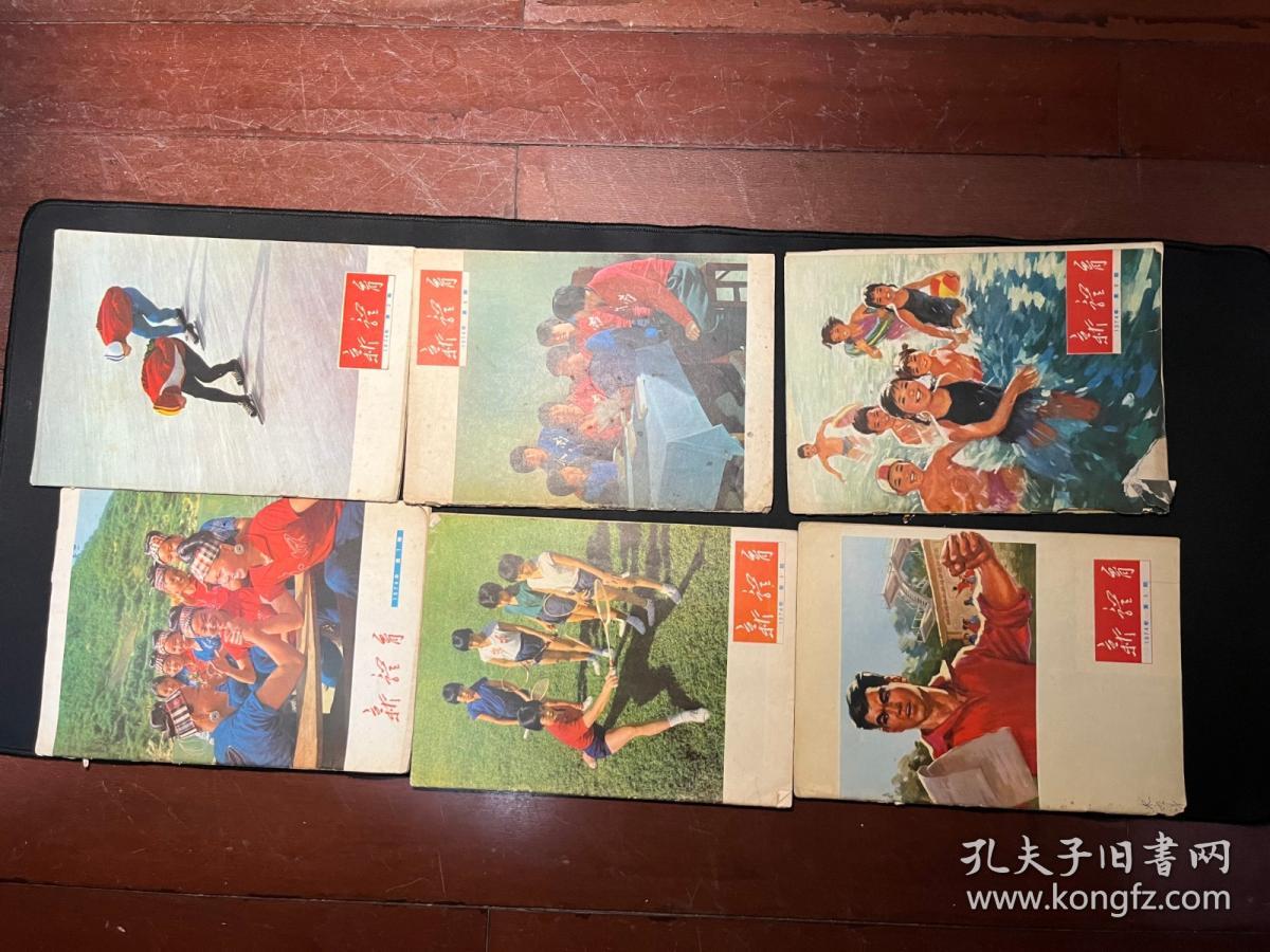 老期刊《新体育》1974年1-12期全