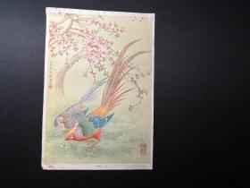 老版宣传画片《锦鸡》 陆抑非绘.上海画片出版社1956年一版1957年二印