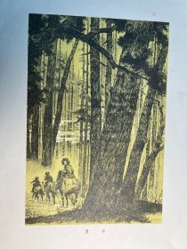 五十年代版画《护林》俞沙丁作品（朝花美术出版社1955年一版一印，印量10000）