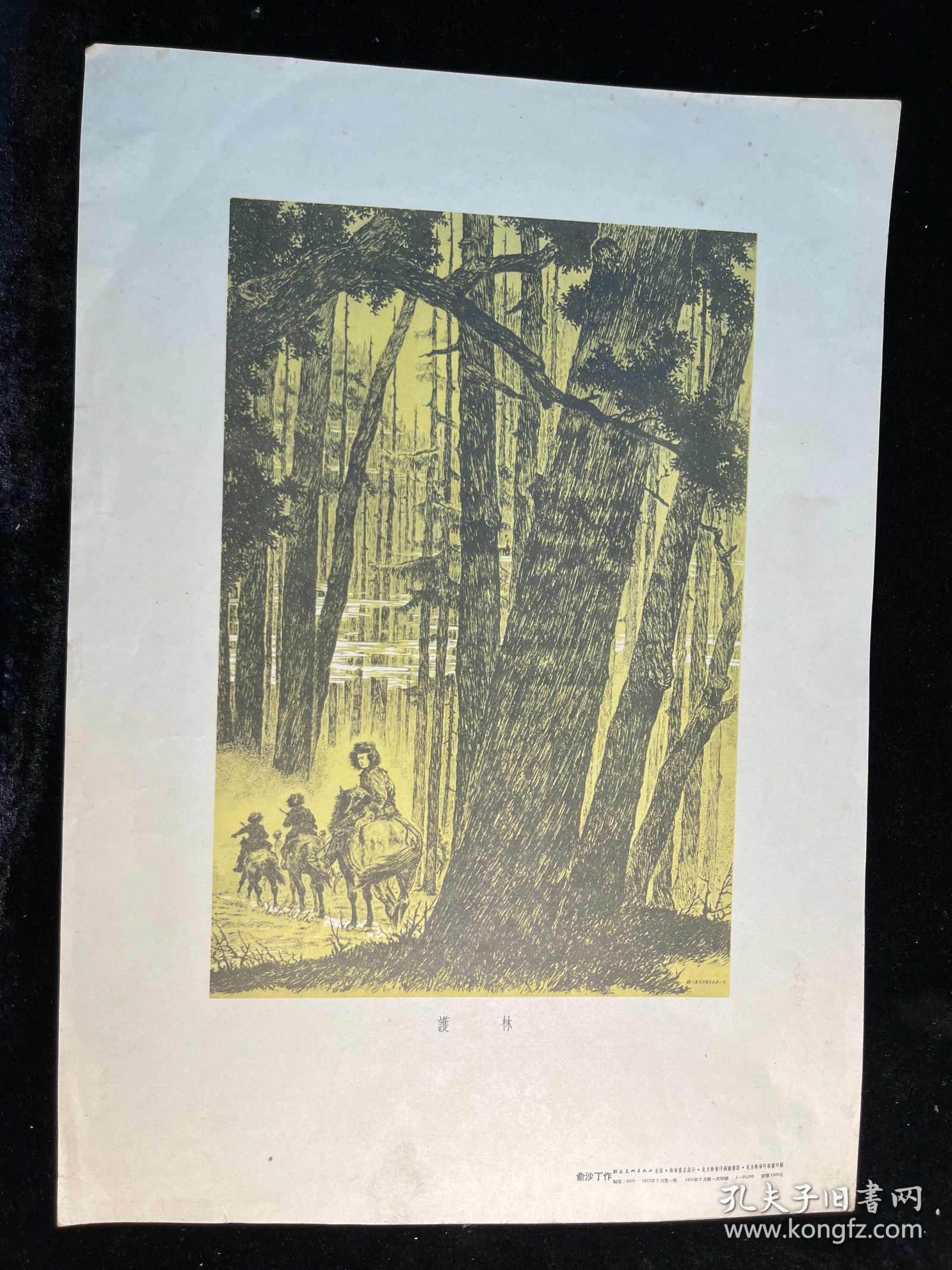 五十年代版画《护林》俞沙丁作品（朝花美术出版社1955年一版一印，印量10000）