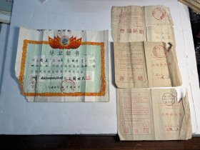 1960年南京市小河西工人子弟小学《毕业证书》附成绩报告书3张