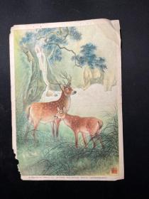 老版宣传画片《鹿》戈湘岚绘.五十年代上海画片出版社（作样张用）