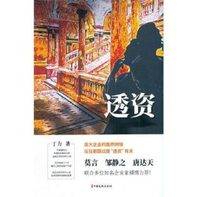 中国专业作家作品典藏文库.丁力卷：透资