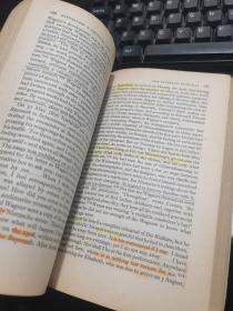 a critical life nietzsche by ronald hayman 【罗纳德·海曼的《尼采的批判人生》】英文原版书 陈鼓应藏书