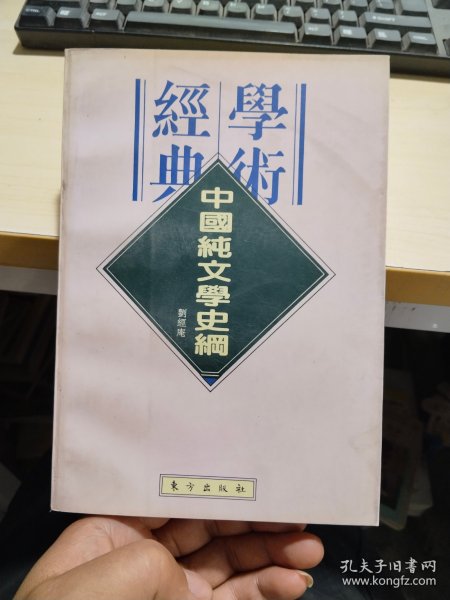 中国纯文学史纲