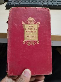 辅仁大学原藏1923年英语原版小说《The Kentucky Warbler》