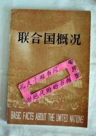 【本摊谢绝代购】联合国概况