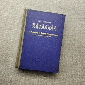 英汉双解 英语短语动词词典 实拍品好