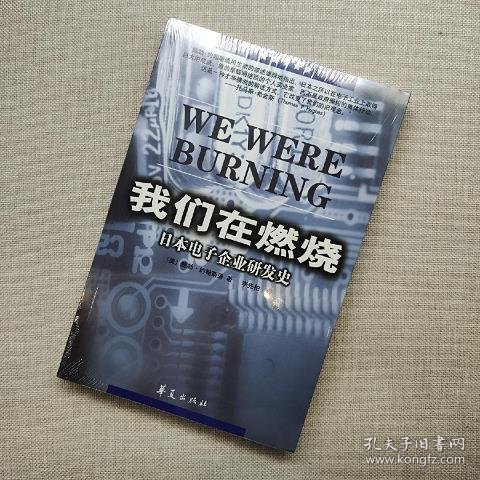 我们在燃烧：日本电子企业研发史