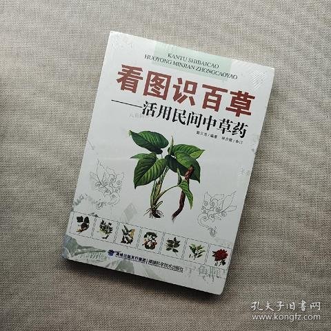 看图识百草：活用民间中草药