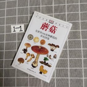 蘑菇：全世界500多种蘑菇的彩色图鉴